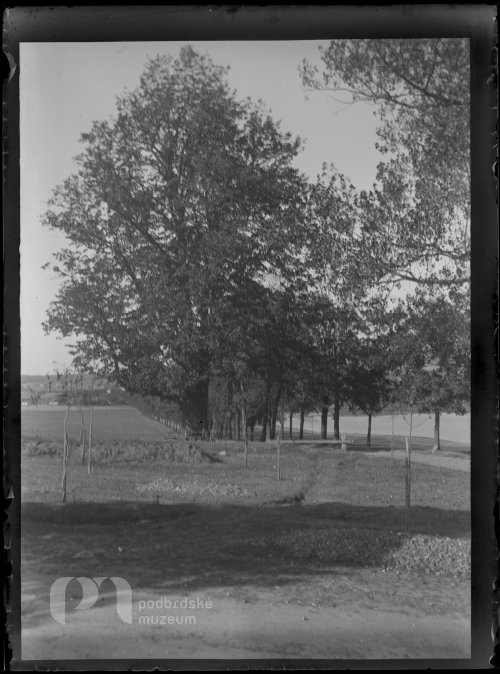 Alej a lípa Johanky