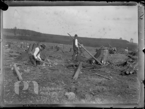 Dobývání pařezů