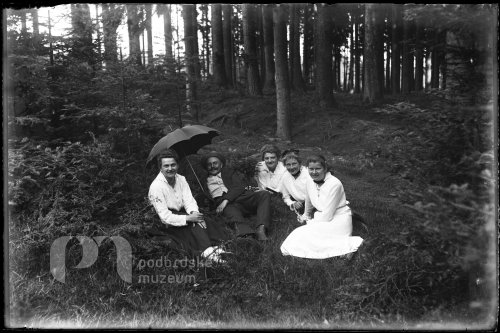 V lese na výletě