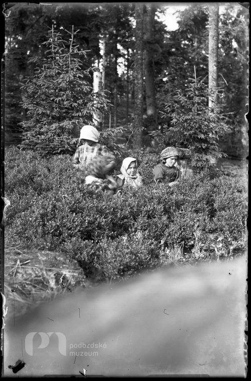 Děti na borůvkách