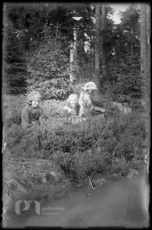 Děti na borůvkách