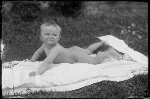 Dítě pase hříbátka