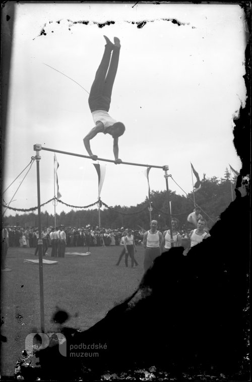 Sokol cvičí na hrazdě