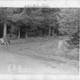 Fotografické snímky ku vraždě spáchané v lese Varta 1. 10. 1933