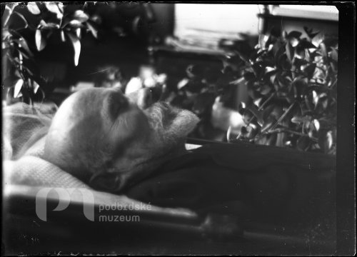 Mrtvý R. R. Hofmister