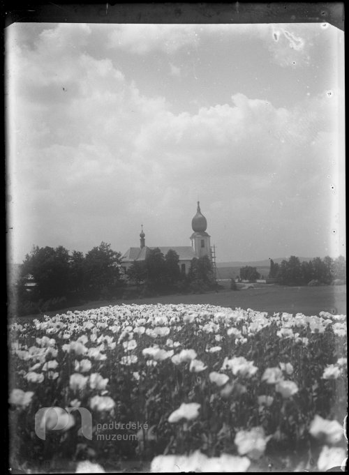 Kostel ve Starém Rožmitále s vlčími máky