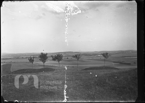 Krajina s několika stromy