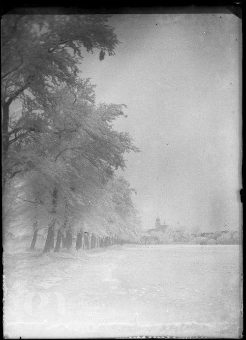 Alej u Starého Rožmitálu v zimě